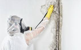 Mold Removal for HVAC Installations in Sandy Hook, CT